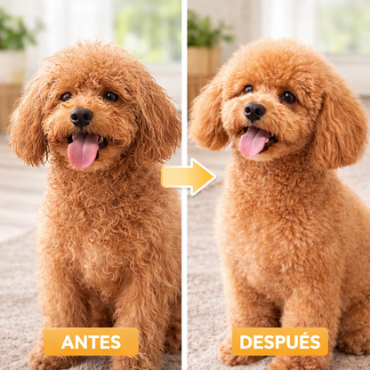 PAWDRY™ Cepillo Y Secador De Mascotas 2 En 1
